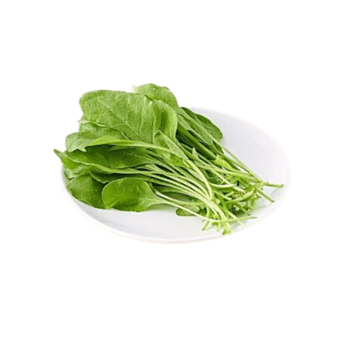 Fresh Baby Spinach 100g – Hydroponic – InHydroGreens, same-day delivery in Delhi NCR