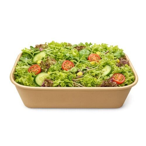 Fresh Salad Mix – 150g – InHydroGreens, same-day delivery in Delhi NCR