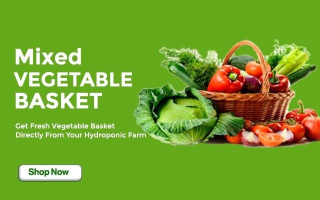 WhatsApp Image 2026-04-15 at 14.14.56