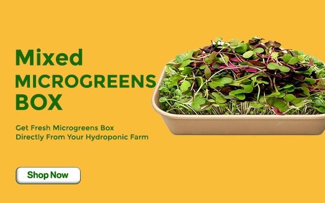 WhatsApp Image 2026-04-15 at 14.21.10 (1)