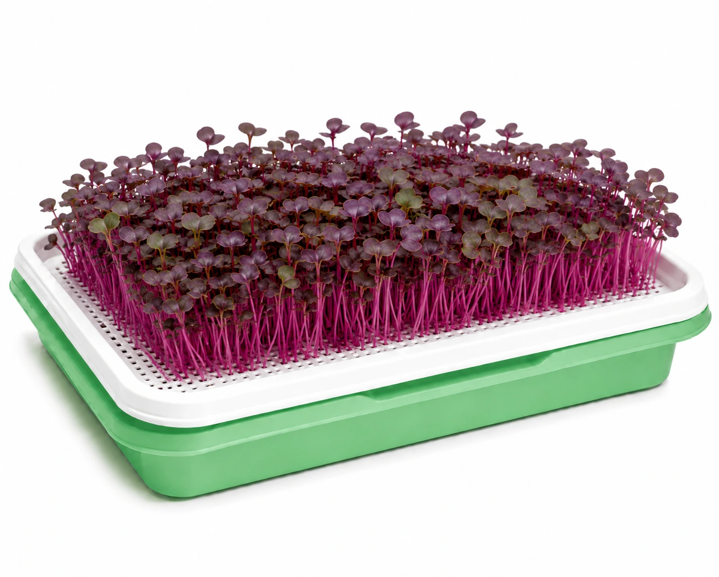 Chatgptimagejul pm Inhydrogreens
