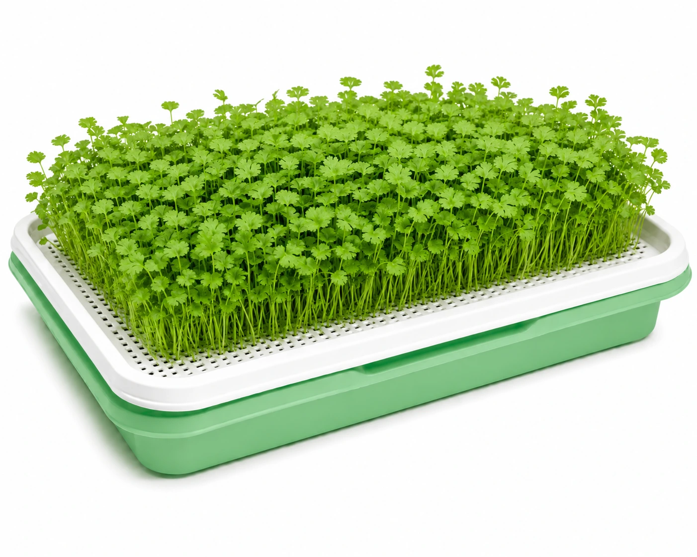 Chatgptimagejul pm Inhydrogreens