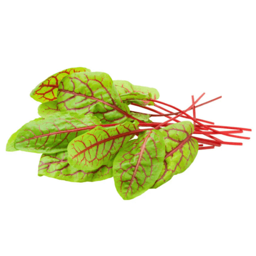 Fresh Red Sorrel Leaves 50g – Fresh Gongura Leaves – InHydroGreens, same-day delivery in Delhi NCR