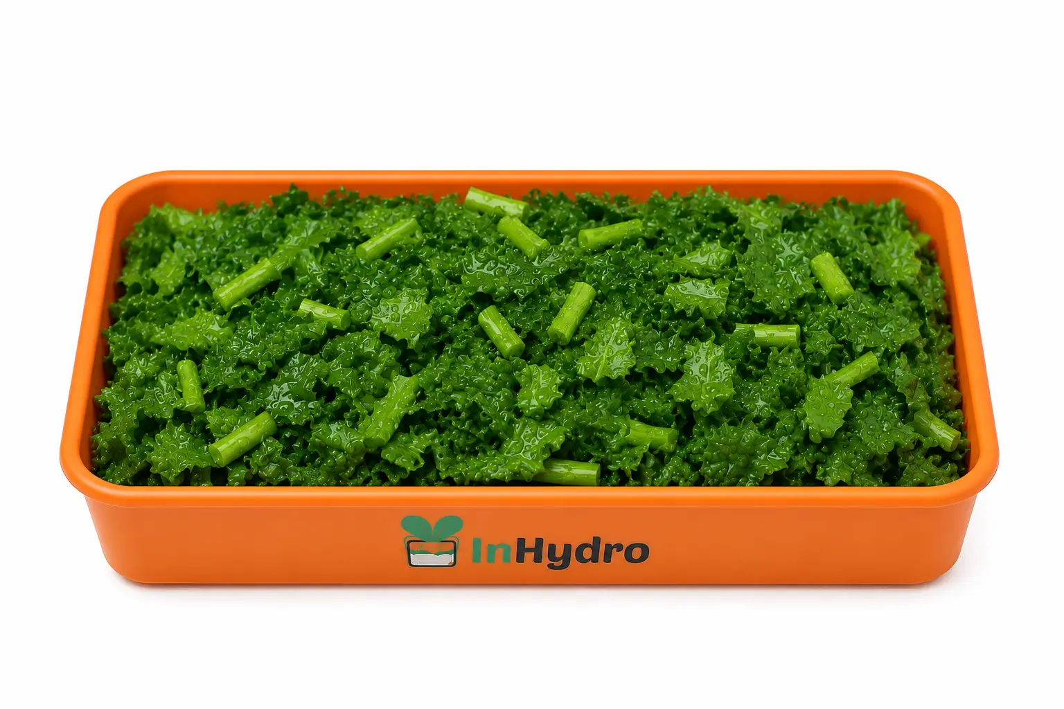 Fresh  Spinach – Ready to Cook