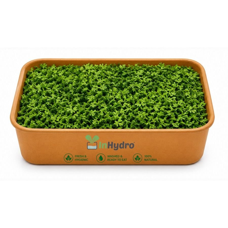 Fresh Chopped Coriander-300gm – Ready to Use