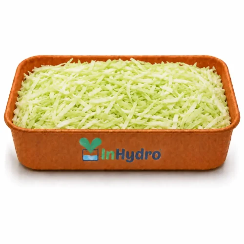 Fresh Shredded Cabbage  gm  Ready to Cook  Inhydrogreens Same day Delivery in Delhi Ncr