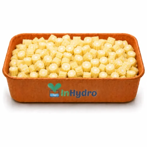 Fresh Diced Baby Corn  gm  Ready to Cook  Inhydrogreens Same day Delivery in Delhi Ncr