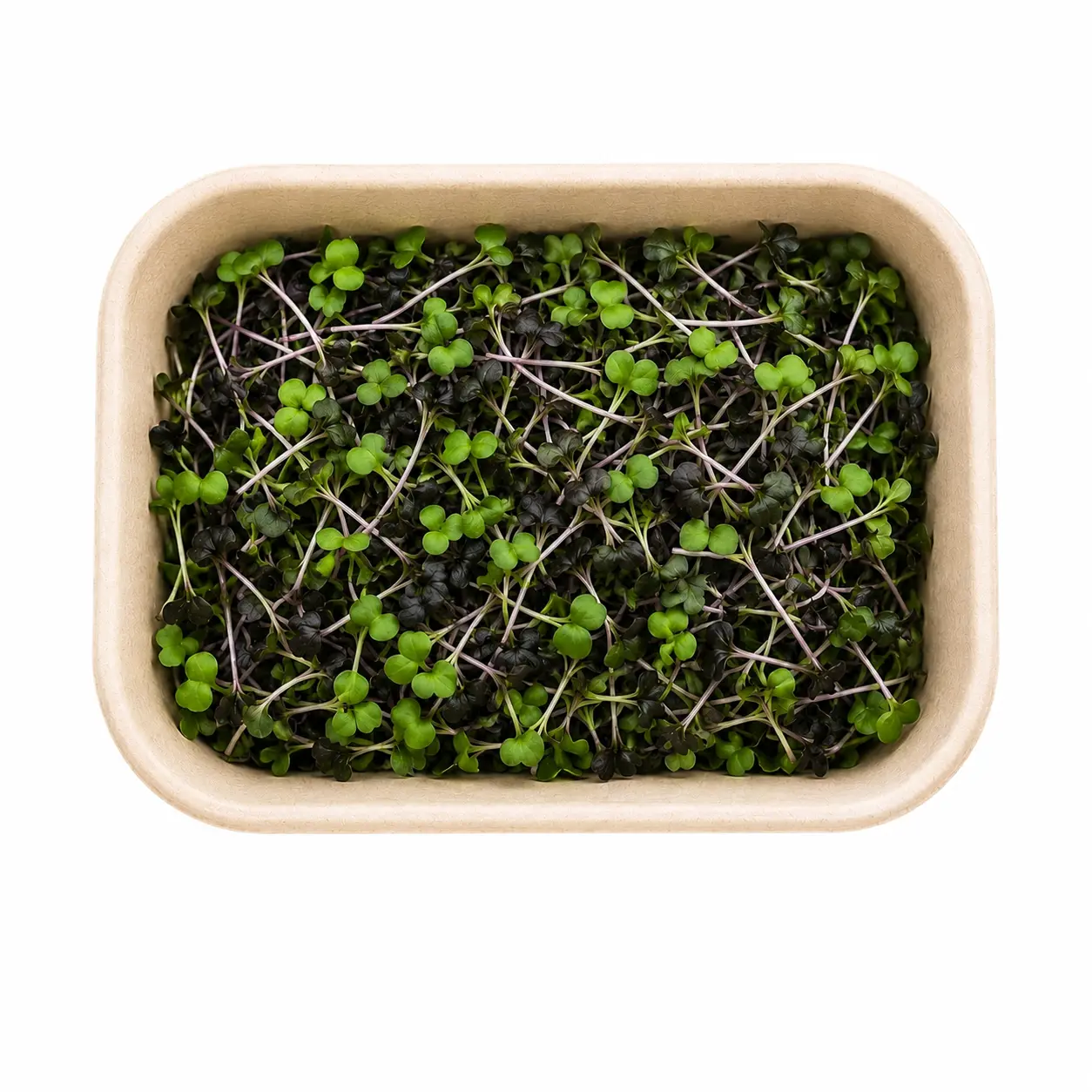 bccabfdcdeb Inhydrogreens