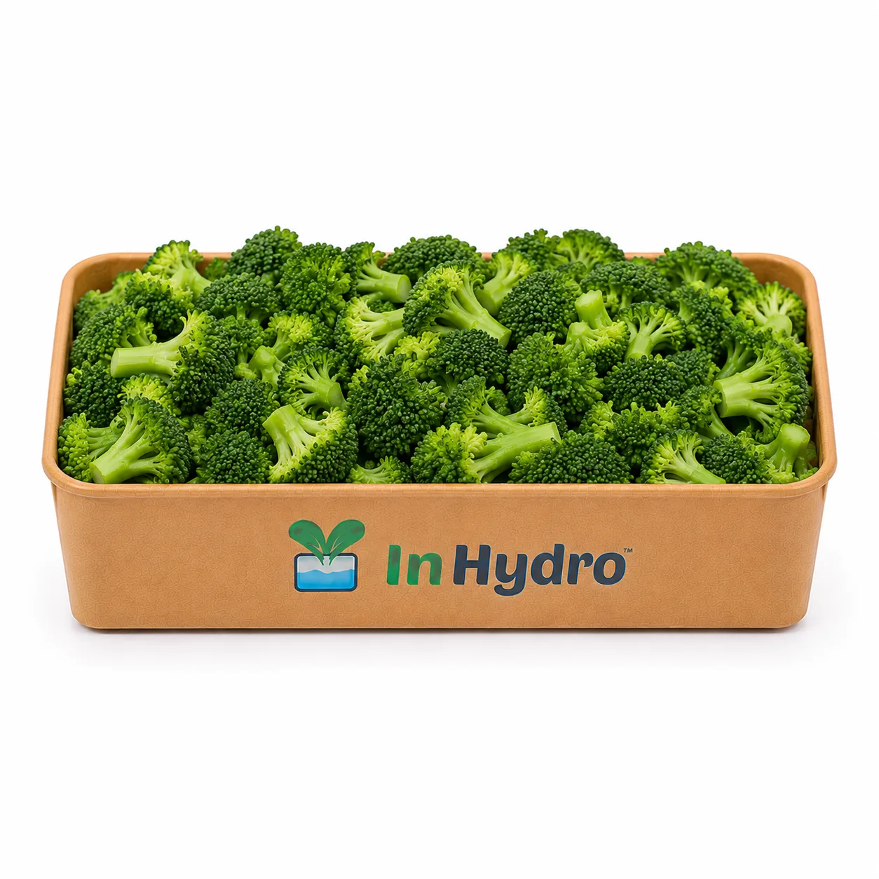 Fresh Broccoli | Ready to Cook