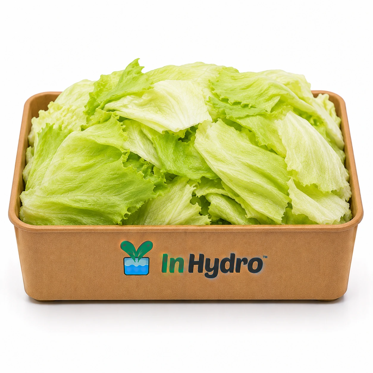 Fresh Iceberg Lettuce Shredded