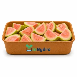 Fresh Guava Fruit Cup