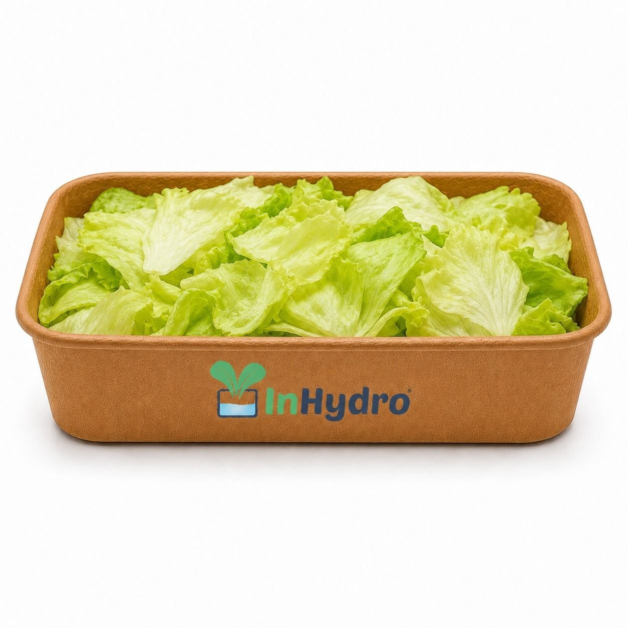 Fresh Iceberg Lettuce - Shredded | Ready to Eat
