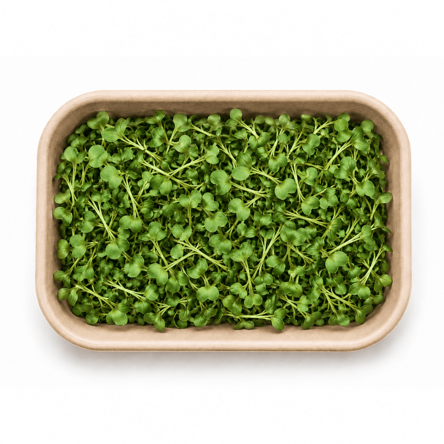 Broccoli Inhydrogreens