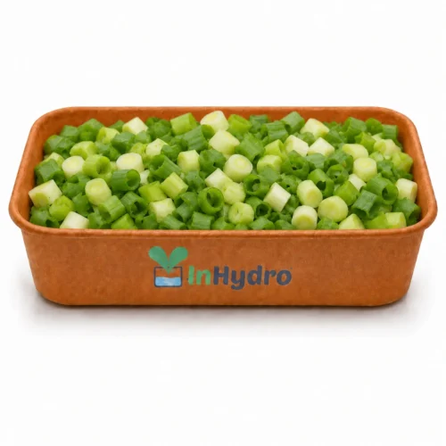 Fresh Leek Inhydrogreens Fresh Leek Inhydrogreens Same day Delivery in Delhi Ncr