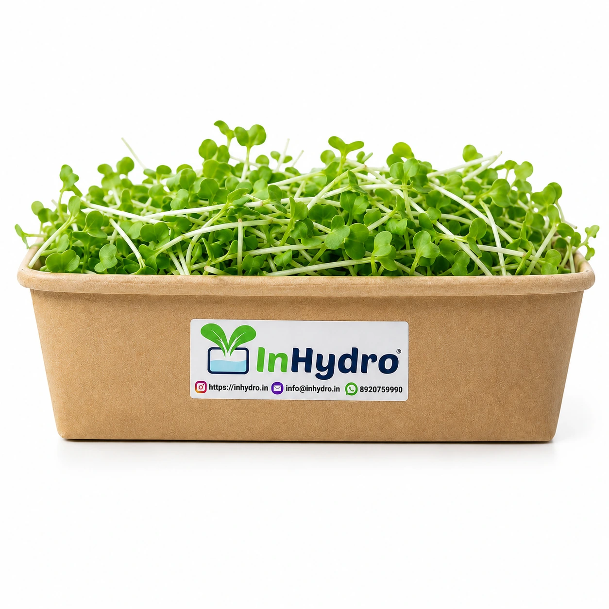 Chatgptimagejul pm Inhydrogreens