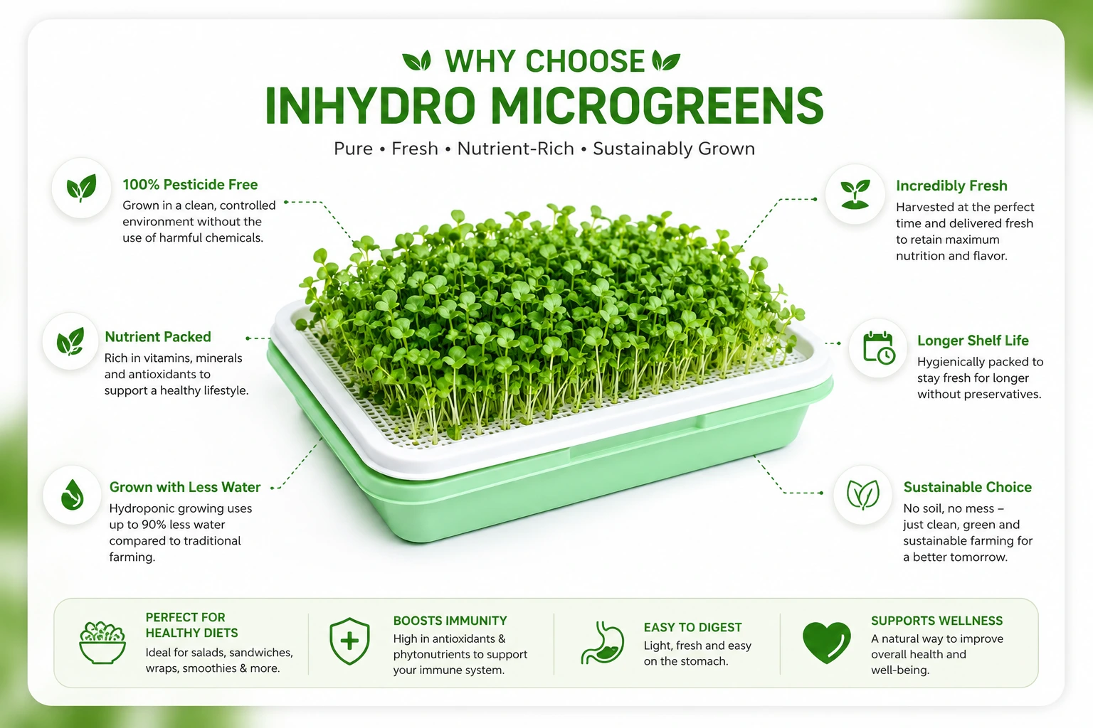 Green Radish Microgreens