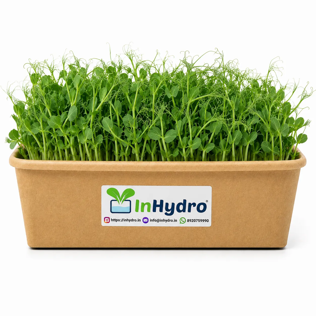Chatgpt Image Jul Pm Inhydrogreens