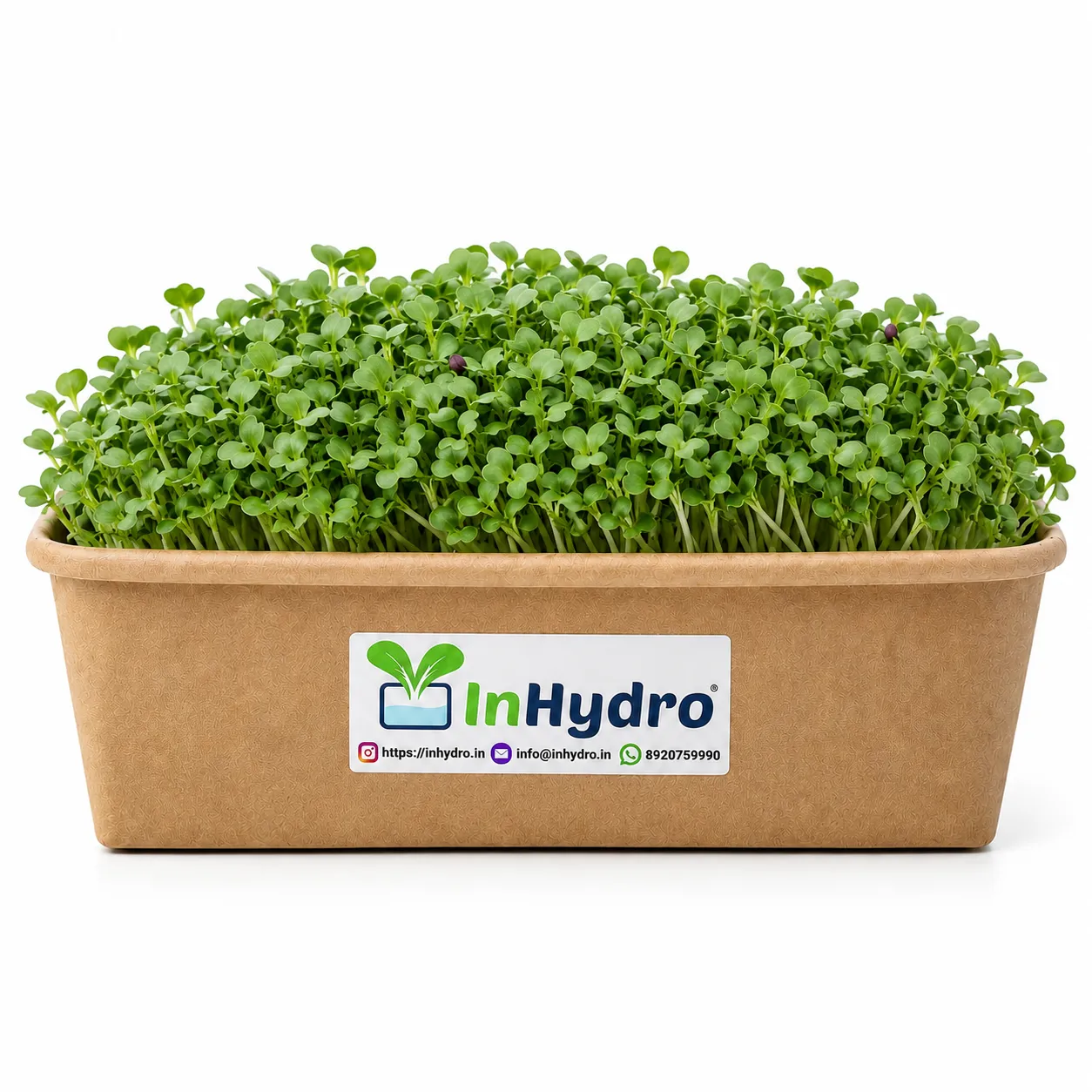 Chatgpt Image Jul Pm Inhydrogreens