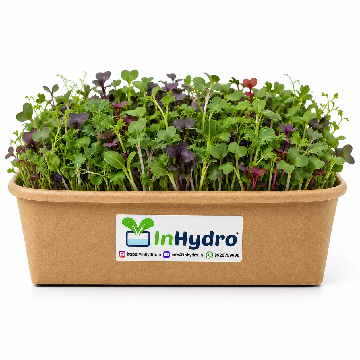 Chatgpt Image Jul Pm Inhydrogreens