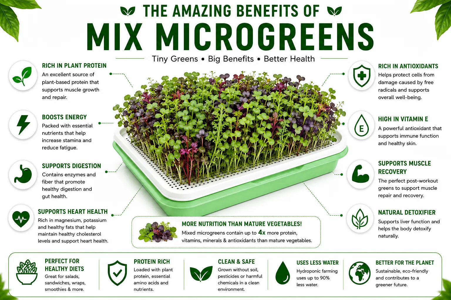 Benefits of Mixed Microgreens