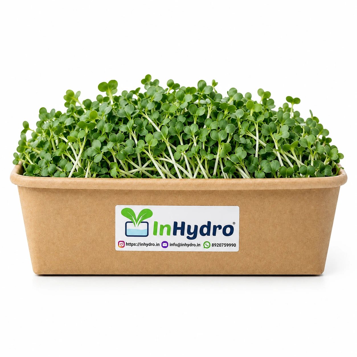 Chatgpt Image Jul Am Inhydrogreens