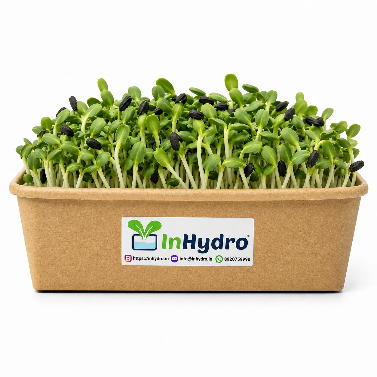 Chatgpt Image Jul Pm Inhydrogreens