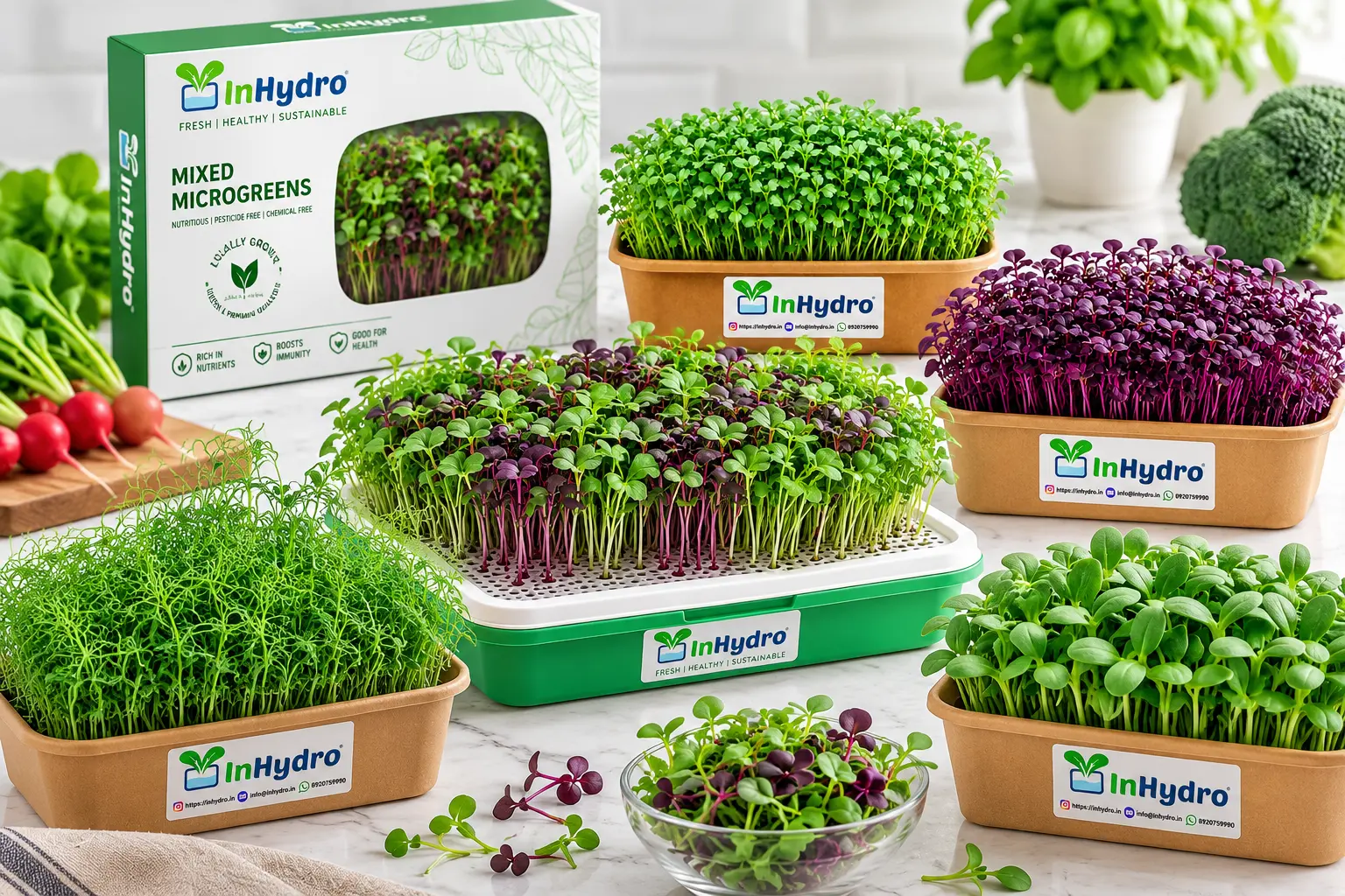 Mixed microgreens
