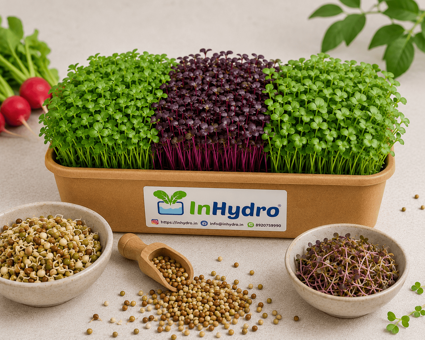 Sprouts and microgreens