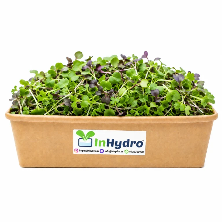 Health & Microgreens Basket subscription Delhi NCR