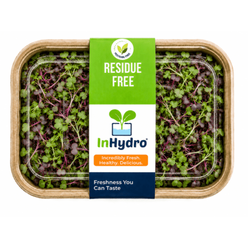 Fresh Mix Microgreens Box – close-up – InHydroGreens, same-day delivery in Delhi NCR