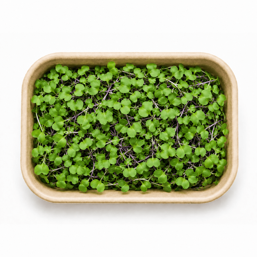 Mustard Inhydrogreens