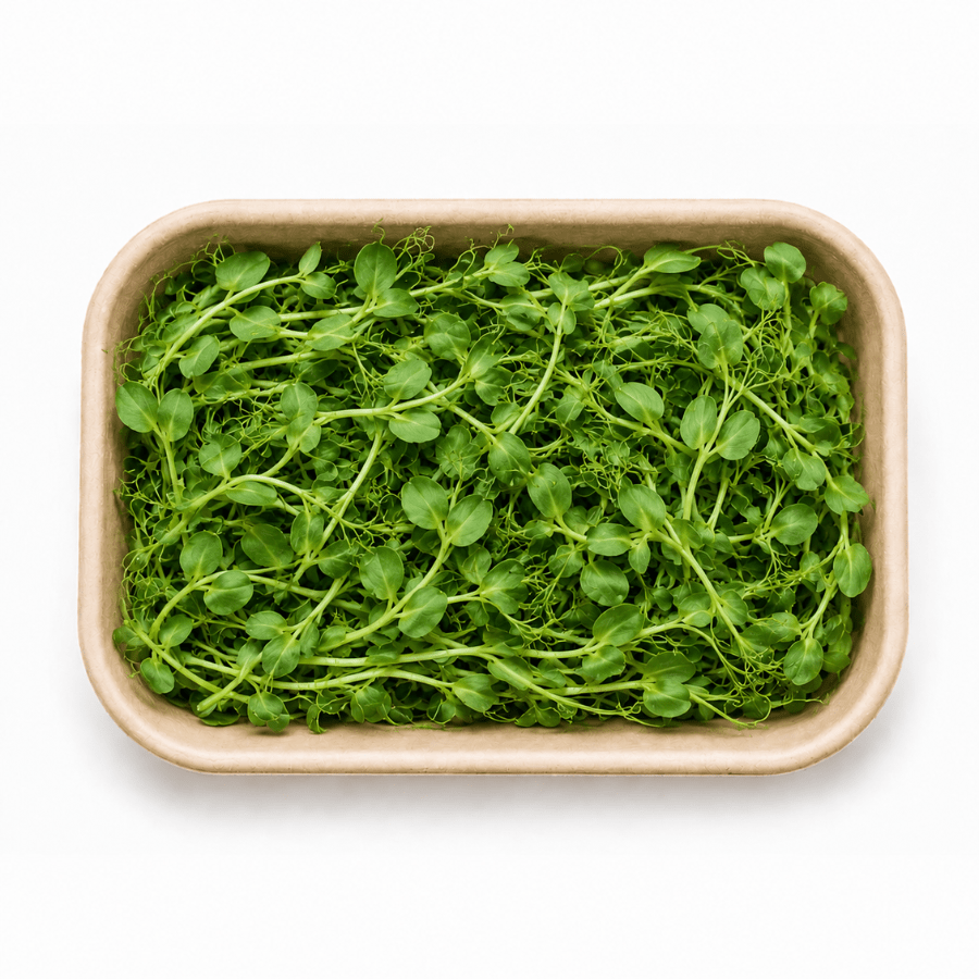 Pea Shoot Inhydrogreens