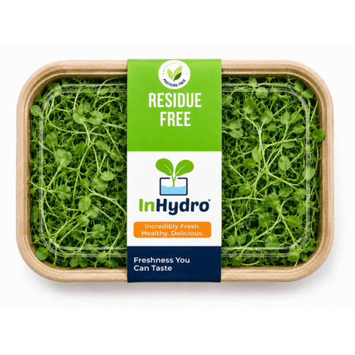 Fresh Pea Shoot Microgreens – close-up – InHydroGreens, same-day delivery in Delhi NCR