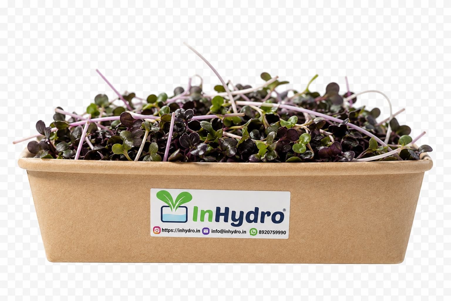 InHydroGreens fresh produce delivered in Delhi