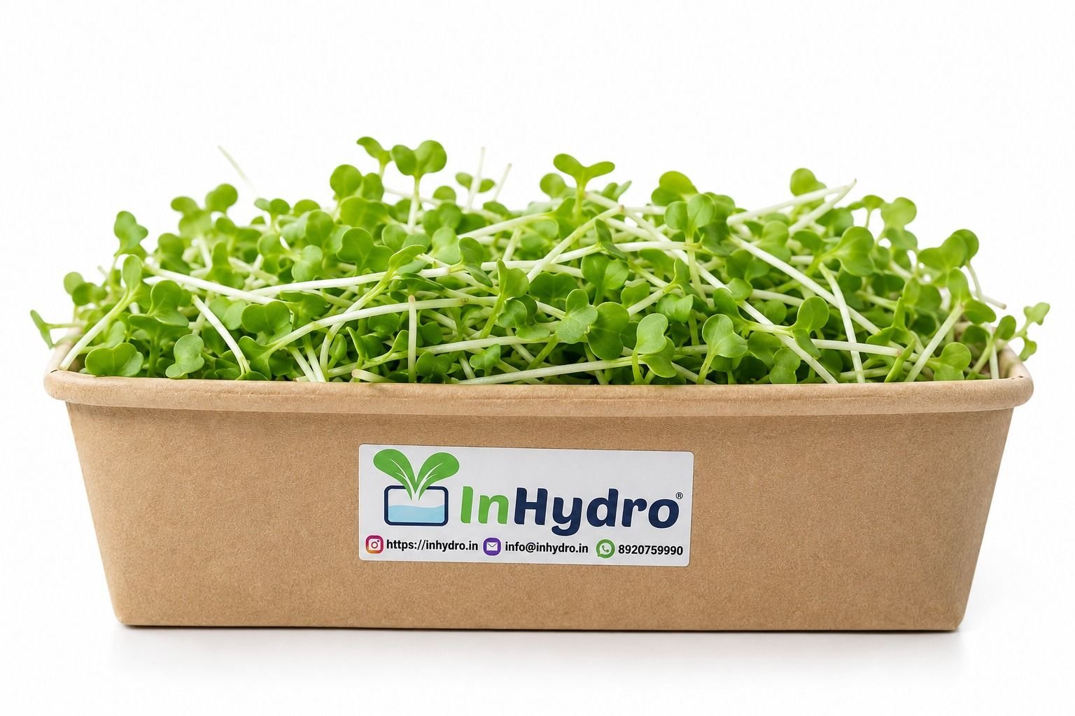 InHydroGreens fresh produce delivered in Ghaziabad